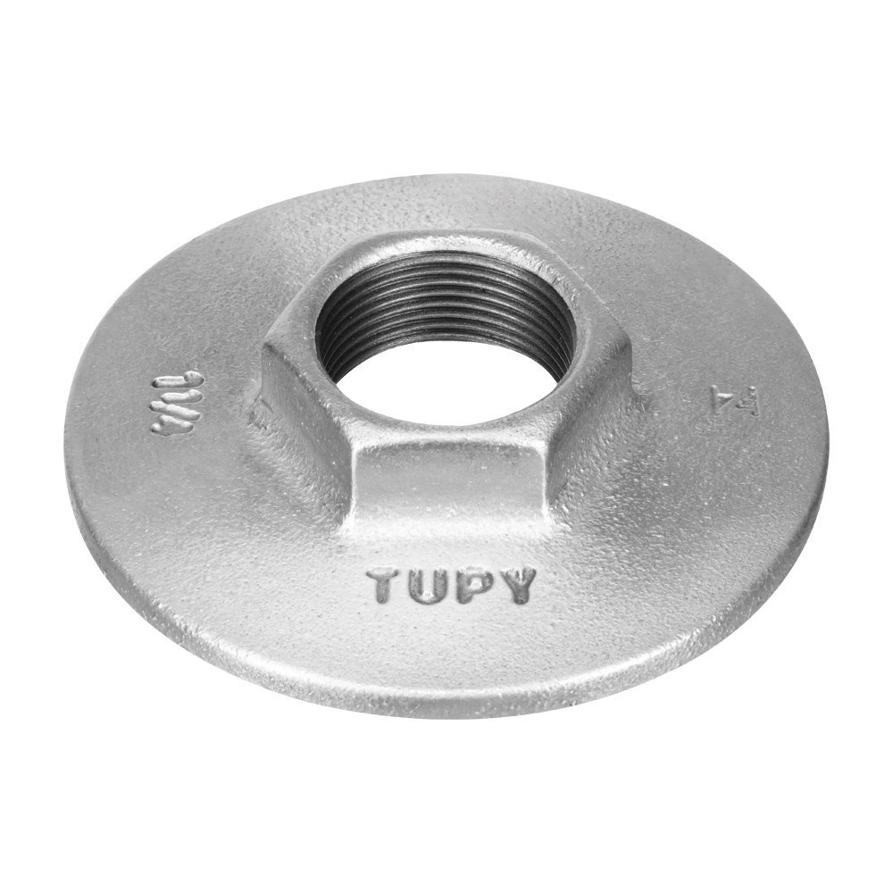 Tupy Flange Com Sextavado Ferro Galvanizado (h)2" 129901033 — Campinas