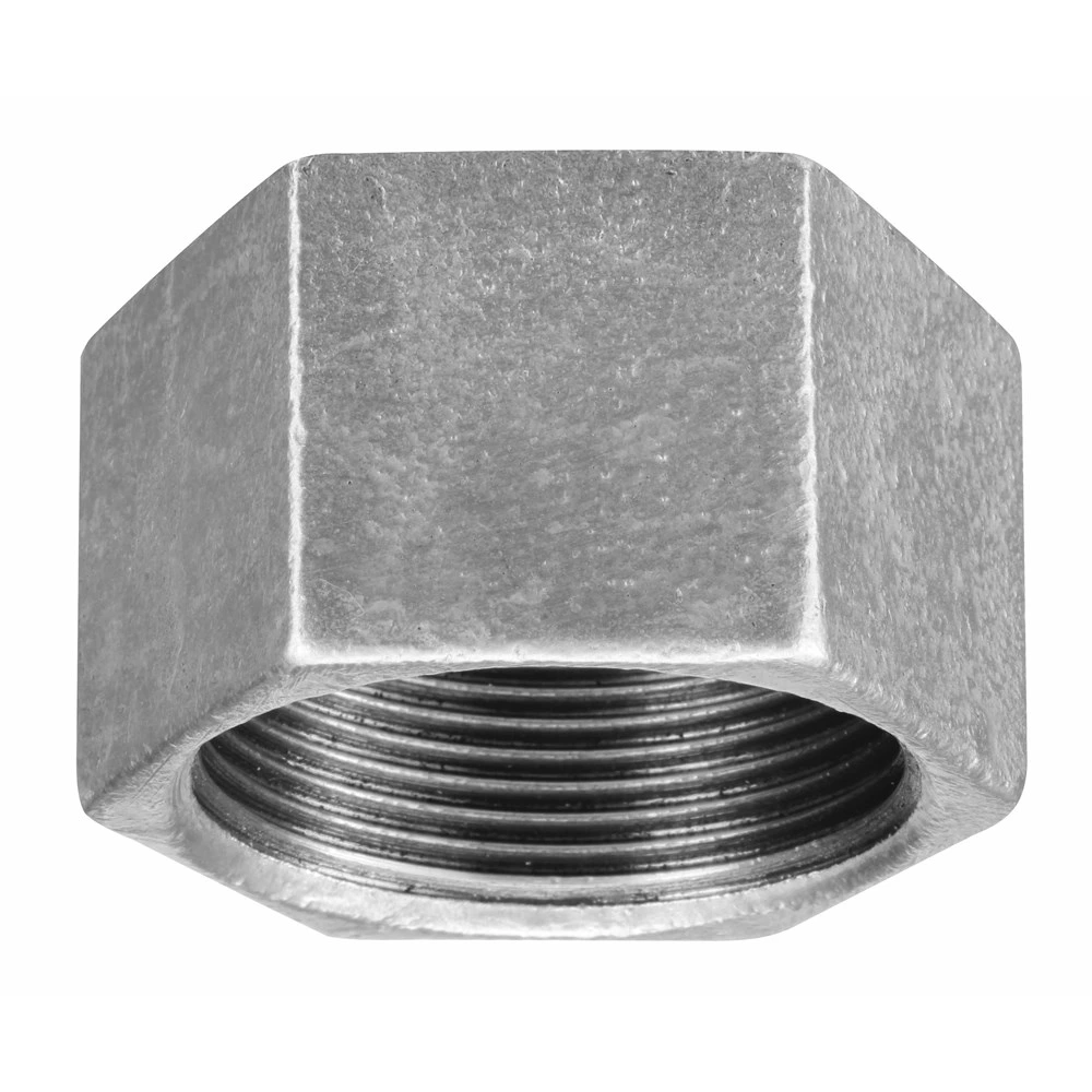 Tupy Tampao Ferro Galvanizado C 1/2 X 1/2 124100433 — Campinas