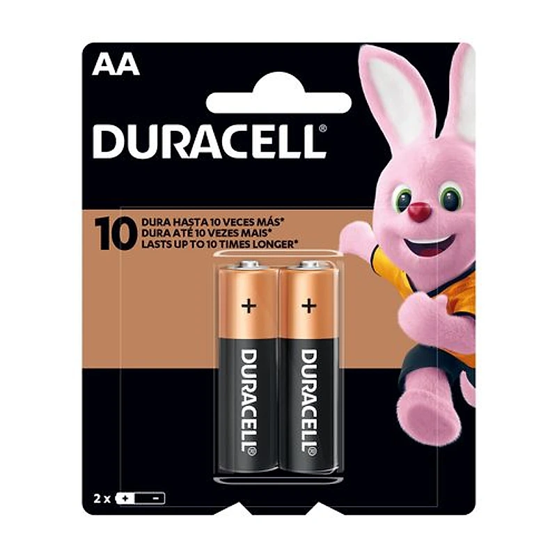 Pilha Alcalina AA Pequena Duracell Cartela com 2 Unidades — Campinas